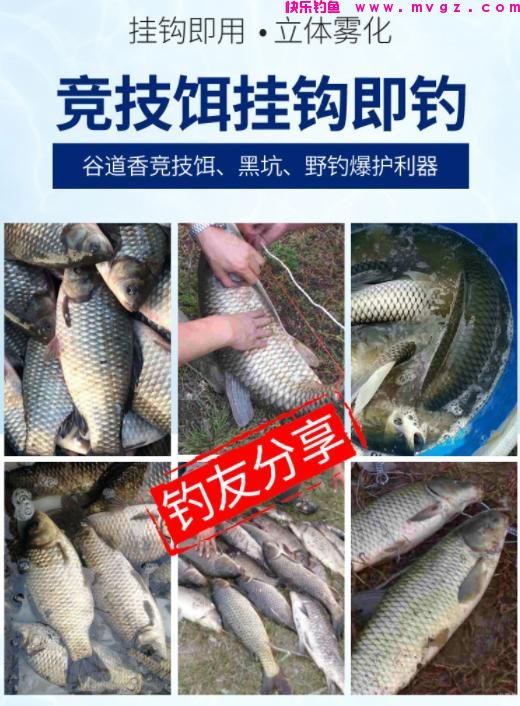 小鱼多就钓不到鲫鱼了？教你3招，钓完直呼过瘾(图7)