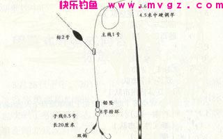 钓鲫鱼时应该注意及实用的四点技巧，六年的钓鲫经验(图2)