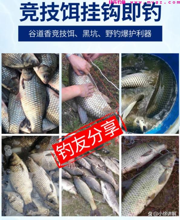 早春学会这样钓鲫鱼，简单实用渔获多(图6)