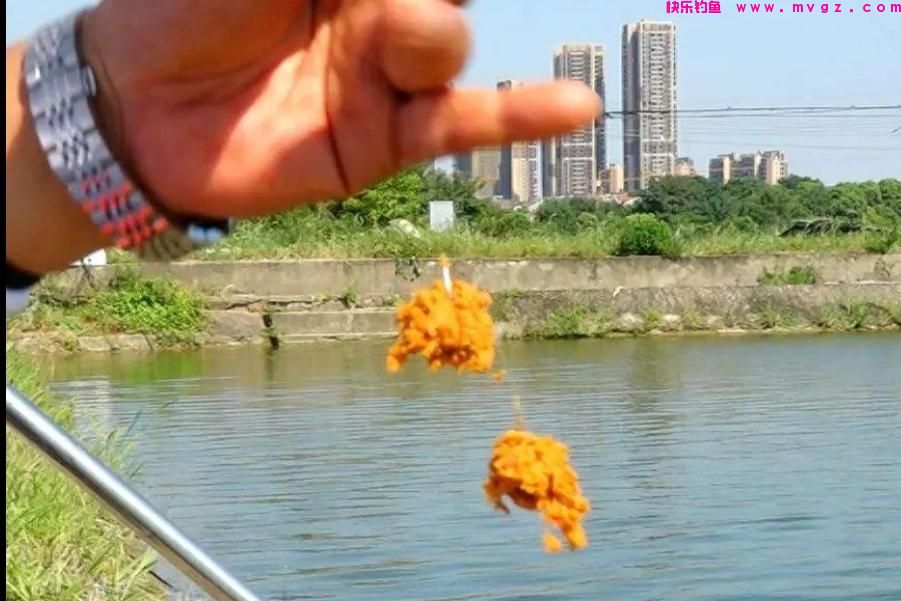 春天不要只钓鲫鱼，试试这鲢鳙钓法，中鱼率高，每次钓完都很过瘾(图2)