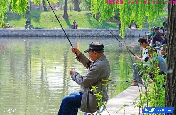 详谈提高中老年钓鱼技巧的方法(图2)
