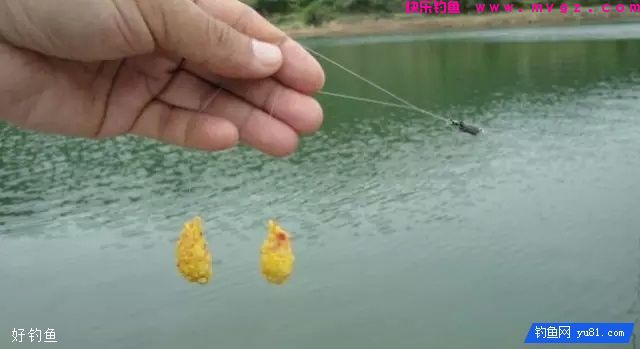 影响钩距调整的三个因素(图2)