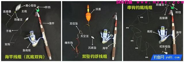手竿、海竿、矶钓竿图解线组搭配(图3) 手竿、海竿、矶钓竿图解线组搭配(图3)