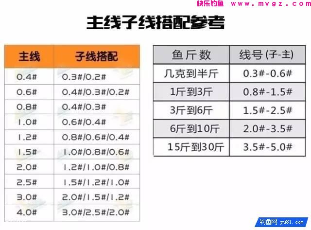 手竿、海竿、矶钓竿图解线组搭配(图1) 手竿、海竿、矶钓竿图解线组搭配(图1)