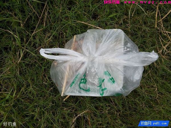 钓鱼人易忽略的5个重要细节(图2)