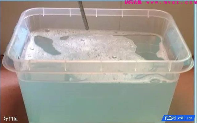 夏季防蚊虫的18个妙招(图8)