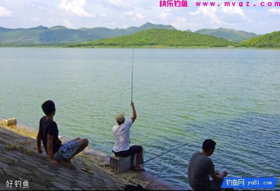 浮漂晃动提竿无鱼的3个原因(图1)
