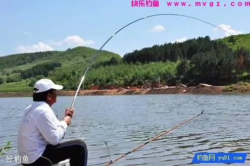 全面了解钓鱼最好的起竿时机(图2)