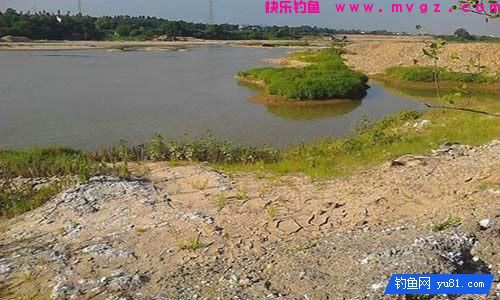 陌生水域钓鱼如何判断水里有没有鱼(图3)