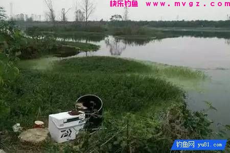 到一个陌生水域垂钓怎样判断鱼情(图1)