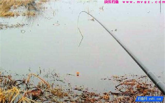 冬钓深浅？老钓友教你浅水选择钓点钓鱼技巧(图2)