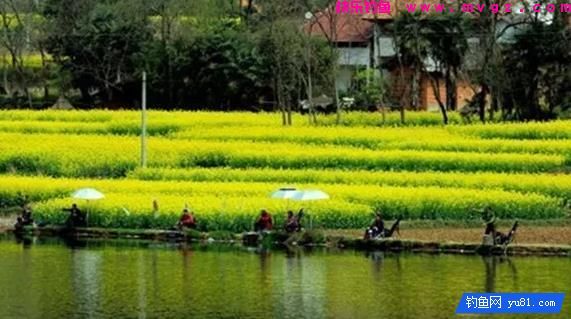 春季鱼都藏在这些地方，钓鱼黄金季节这些钓点渔获翻倍(图1)