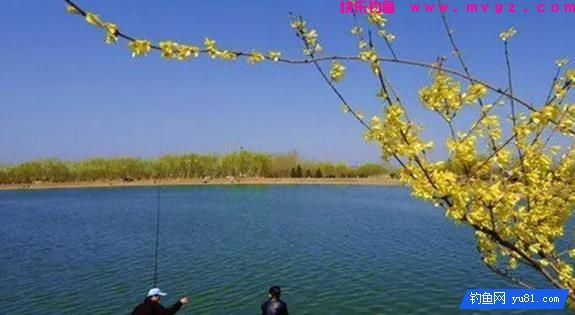 春季水库钓鲤鱼，钓位选择和垂钓技巧跟其他季节大不同(图1)