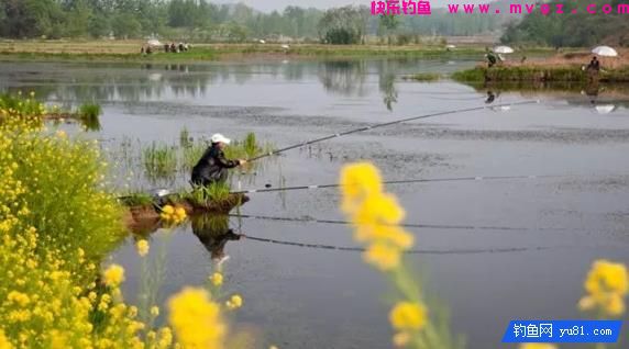 春季水库钓鲤鱼，钓位选择和垂钓技巧跟其他季节大不同(图3)