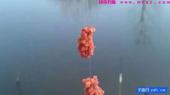 春江水暖鱼先知，春钓大鲫正当时，几个春钓技巧助你渔获多多(图4)