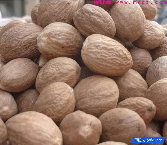 在钓鱼饵料中加入这三味中药，钓鱼有奇效(图2)