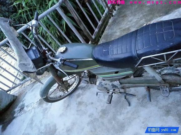 钓鱼最怕的就是刀鳅鱼, 因为它食性非常凶猛, 把钩吞进肚子里(图7)