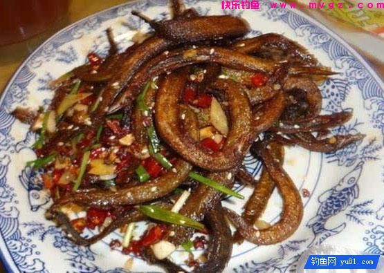 钓鱼最怕的就是刀鳅鱼, 因为它食性非常凶猛, 把钩吞进肚子里(图17)
