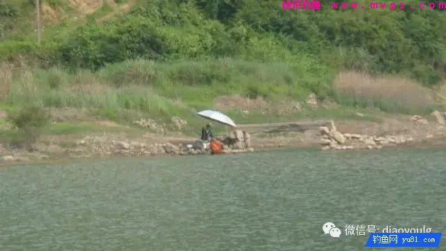 春天钓鱼的用饵之道(图3)