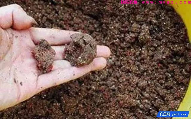 散炮钓黑坑状态、开法、捏饵技巧！(图4)
