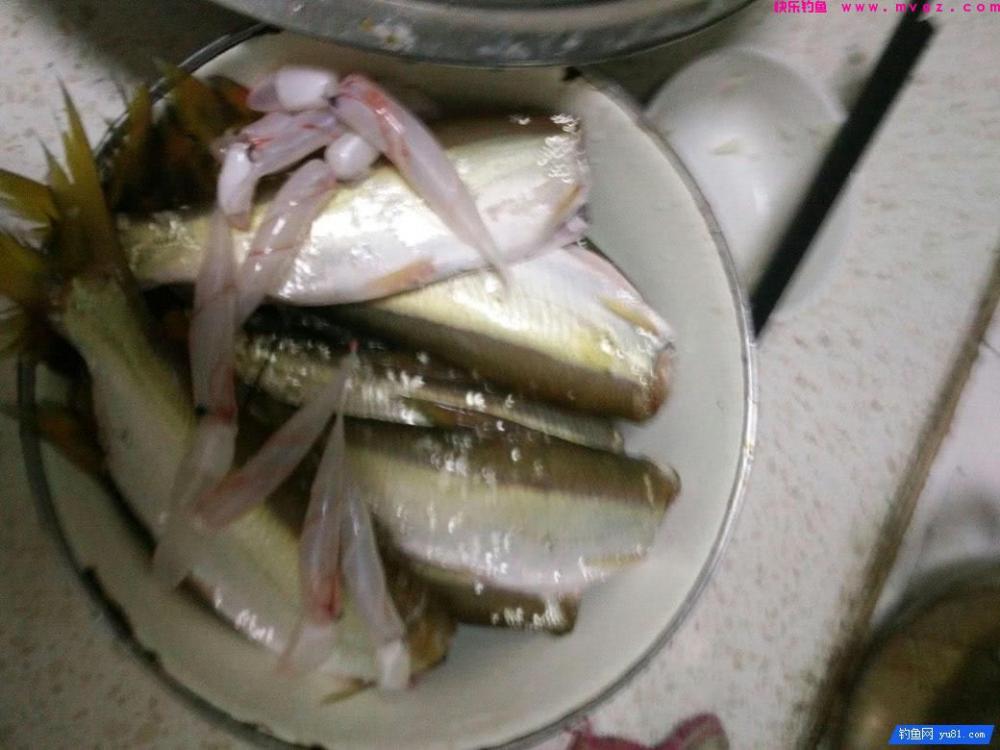 很多钓鱼人喜欢钓此鱼, 鱼不怎么好吃, 手感好(图13)