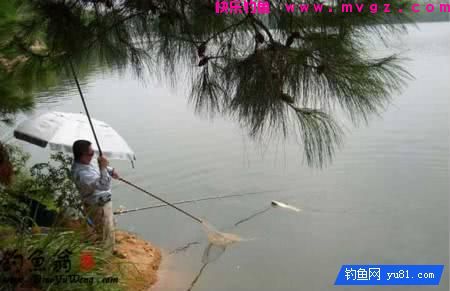 一年四季，水库旁钓点的选位，精确掌握不怕不中鱼(图2)