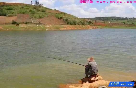 一年四季，水库旁钓点的选位，精确掌握不怕不中鱼(图1)