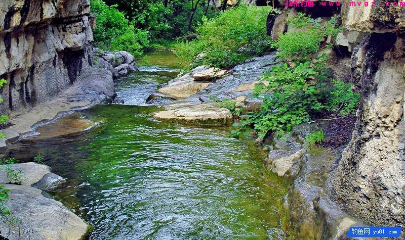 在小河流中怎样选择钓点？(图3)