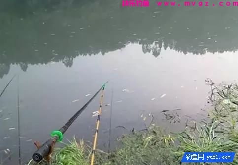 到塘边钓鱼发现鱼口轻，不知如何作钓怎么办？这样调漂就对了(图2)
