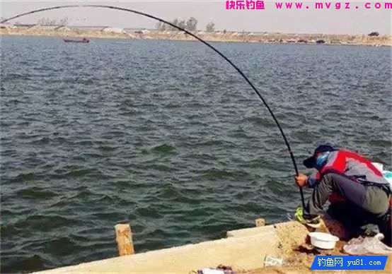 休闲钓小钩细线如何搏大物？(图1)