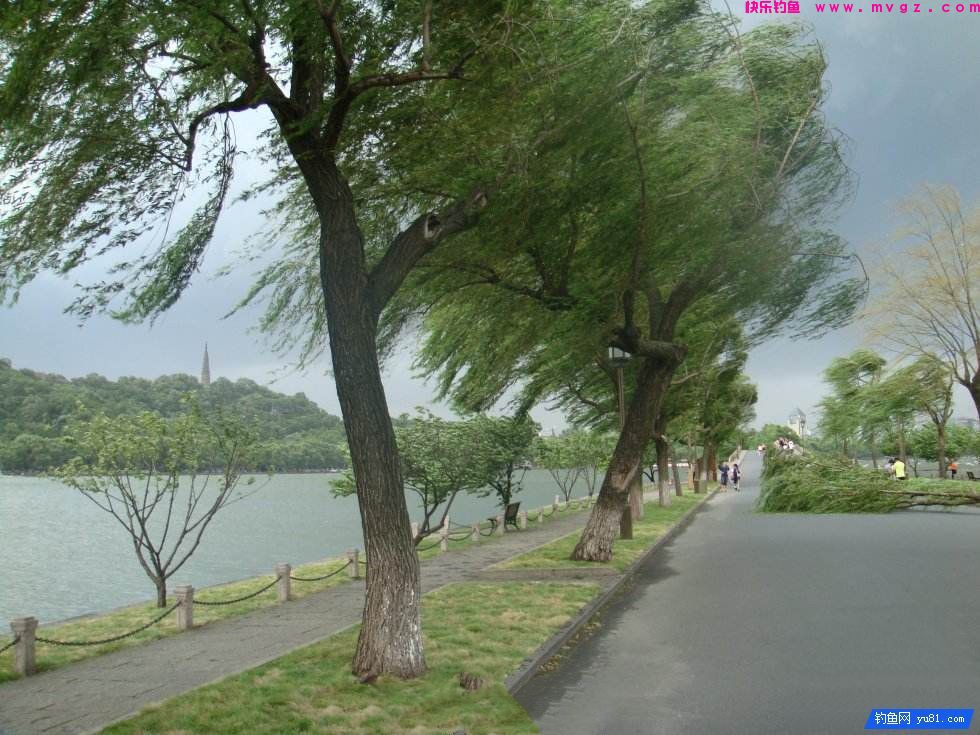刮风时怎样选择钓点？(图1)