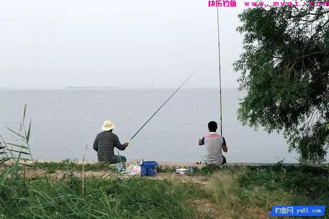 钓秋鱼的三种钓法，受益终身(图1)