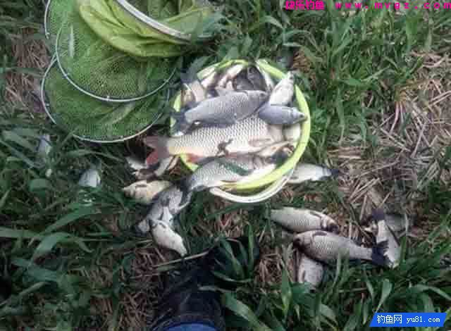 阴天钓鱼优势在哪里？(图3)