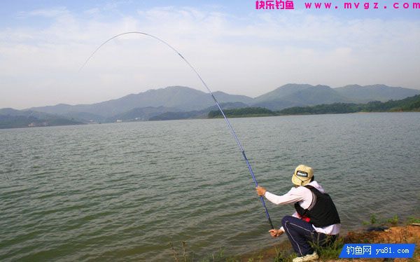 钓鱼遇到9个问题！帮你一一解决(图5)