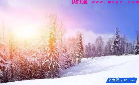 寒冬季节几种钓鲫鱼的技巧(图2)
