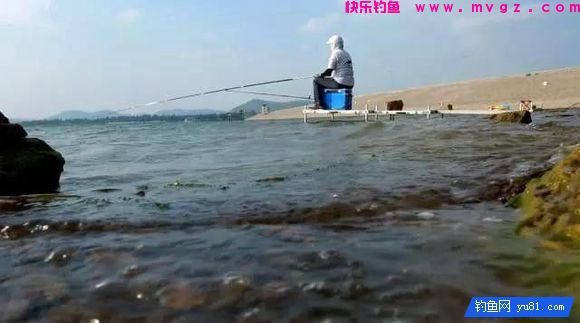 钓鱼别盲目,3招辨别水中是否有鱼!(图4) 钓鱼别盲目,3招辨别水中是否有鱼!(图4)