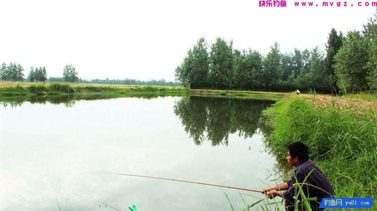 野钓几个误区，据说钓鱼人都中了几招(图3)
