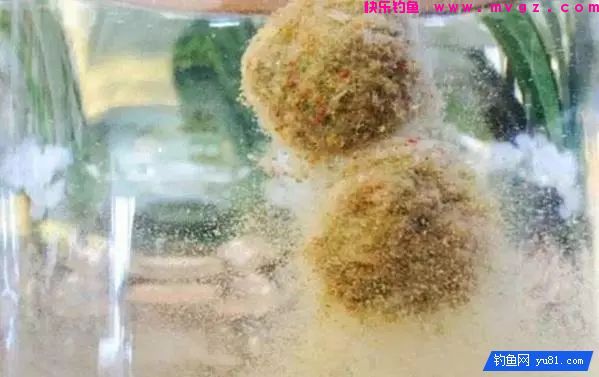这样诱鱼，3分钟就有口，大鲫鱼排队上钩!(图2)