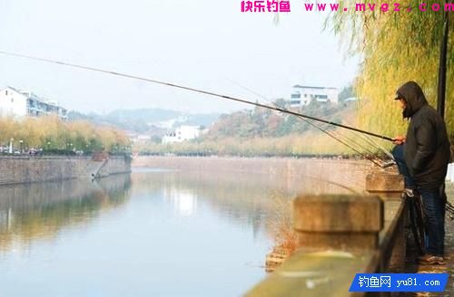 冬季稍稍设置下鲫鱼技巧，收获还是比较乐观的！(图1)