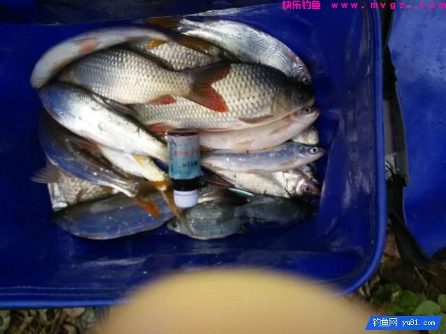 选好钓位才是王道 冬季钓鲫鱼想要好成绩(图7) 选好钓位才是王道 冬季钓鲫鱼想要好成绩(图7)