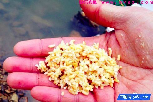 告诉大家钓鱼打窝的几种方法，绝对好用(图8)