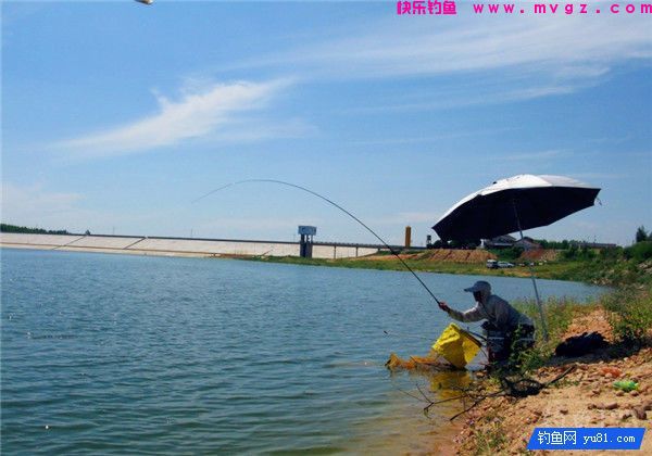 传统钓中走钓以及逗钓技巧分析(图1)