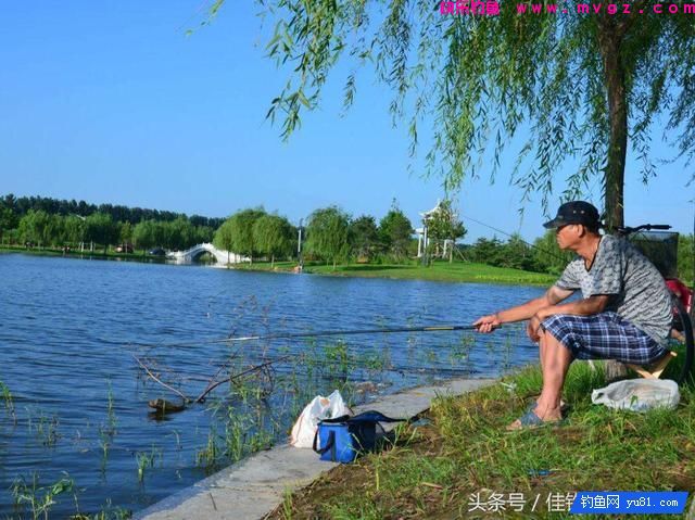 跑铅钓、钓平水、几目钓，你会用吗？(图3)