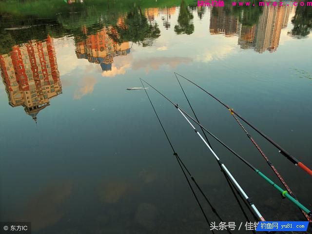 跑铅钓、钓平水、几目钓，你会用吗？(图2)