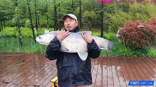 跑铅钓、钓平水、几目钓，你会用吗？(图1)