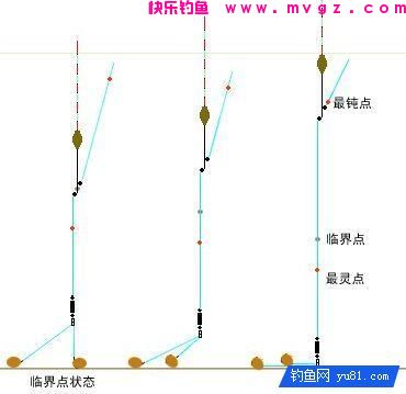 高手野钓鲫鱼调漂，调目与钓目的关系(图3)