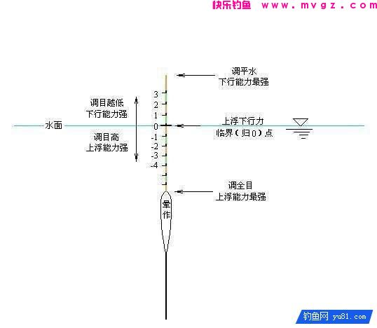 高手野钓鲫鱼调漂，调目与钓目的关系(图5)