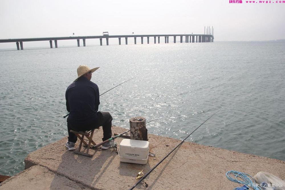台钓究竟是什么？10年老钓友都不一定知道(图1)