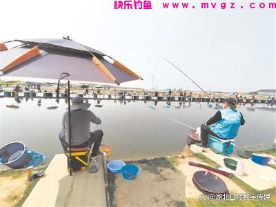 钓鱼经济：一杆“钓”出百亿大产业 一头挑起水产养殖 一头连接鱼饵钓具(图2)