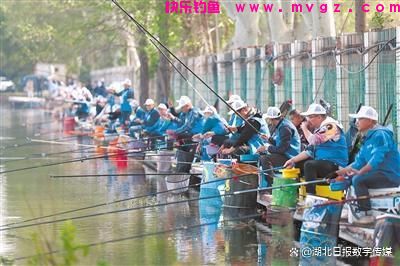 钓鱼经济：一杆“钓”出百亿大产业 一头挑起水产养殖 一头连接鱼饵钓具(图3)